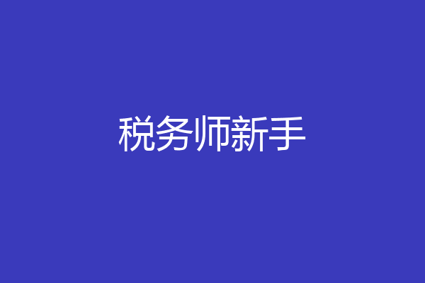 税务师新手