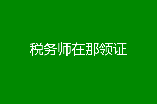 税务师在那领证
