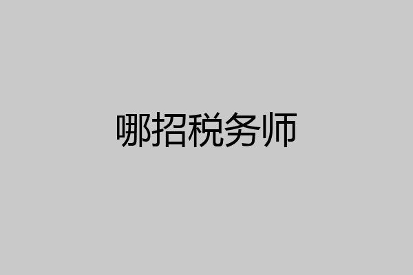 哪招税务师