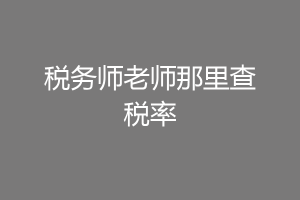 税务师老师那里查税率