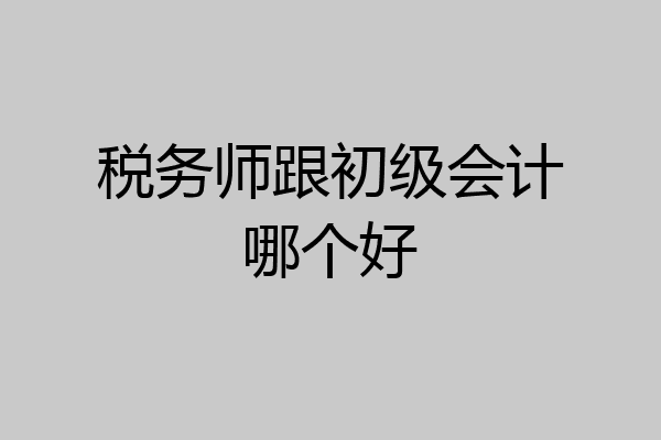税务师跟初级会计哪个好