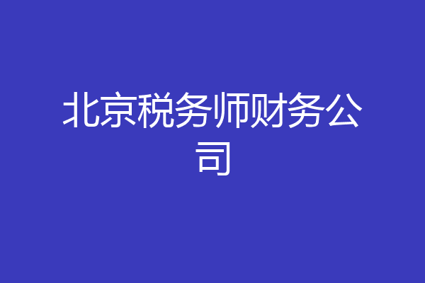 北京税务师财务公司