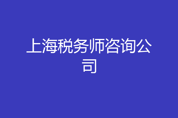 上海税务师咨询公司