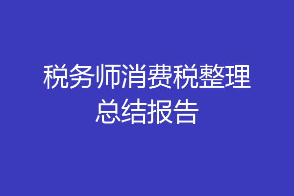 税务师消费税整理总结报告