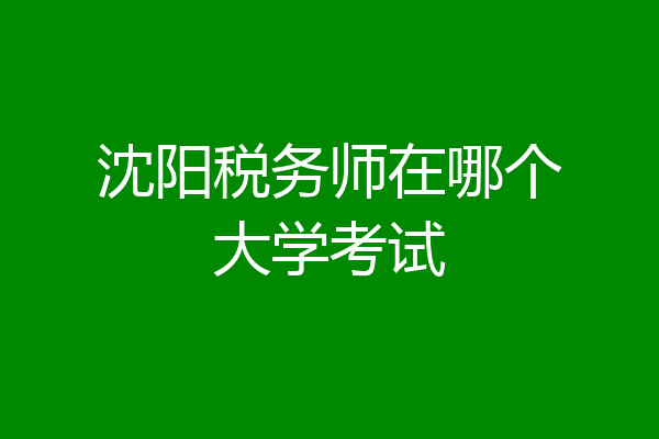 沈阳税务师在哪个大学考试