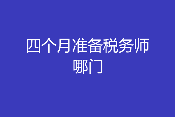 四个月准备税务师哪门