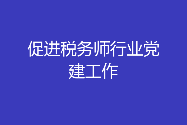 促进税务师行业党建工作