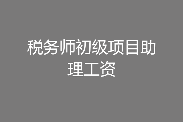 税务师初级项目助理工资