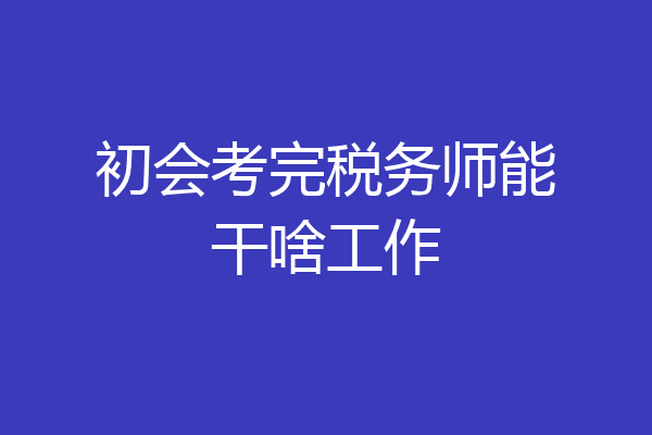 初会考完税务师能干啥工作