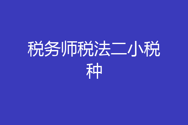 税务师税法二小税种