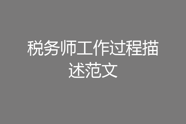 税务师工作过程描述范文
