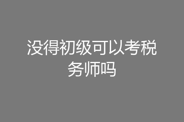 没得初级可以考税务师吗