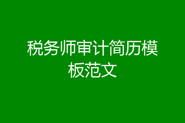 税务师审计简历模板范文