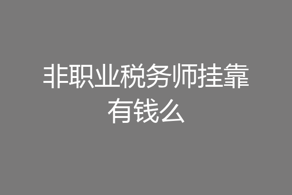 非职业税务师挂靠有钱么