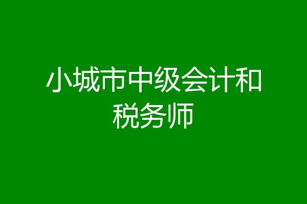 小城市中级会计和税务师