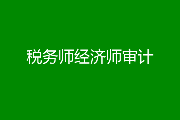 税务师经济师审计