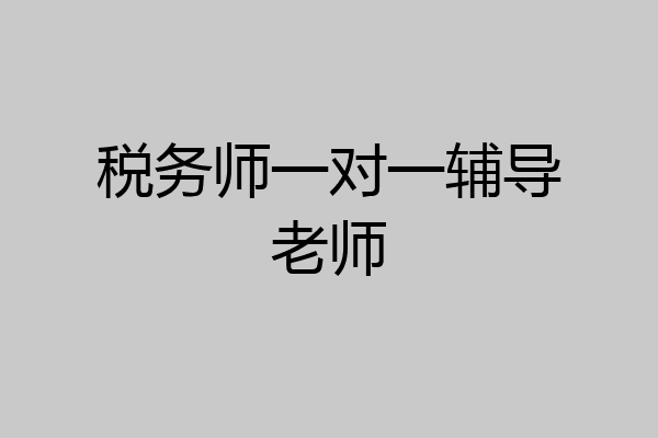 税务师一对一辅导老师