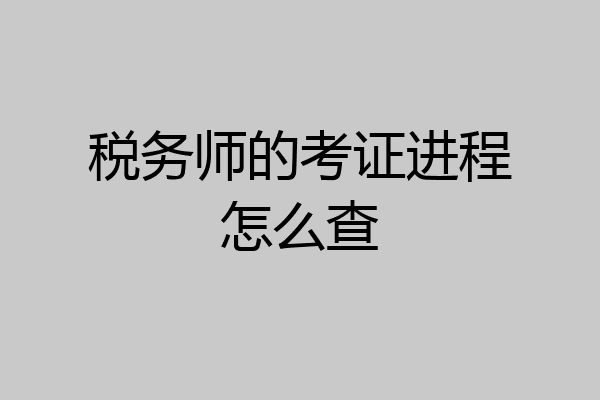 税务师的考证进程怎么查