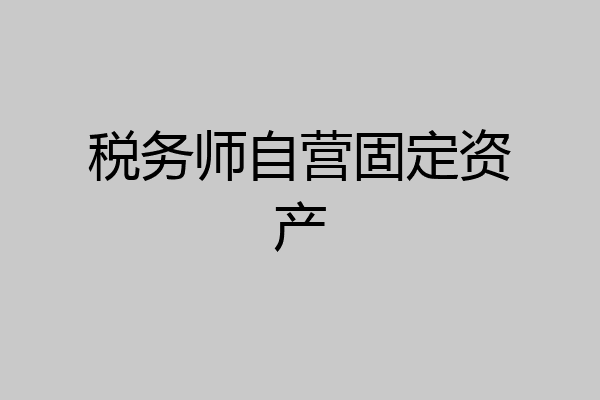 税务师自营固定资产