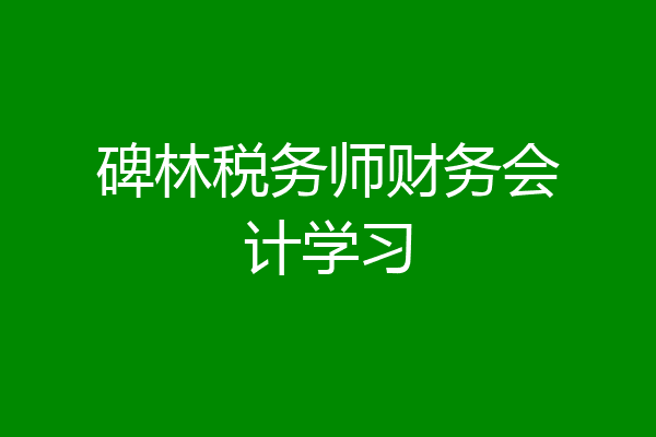 碑林税务师财务会计学习