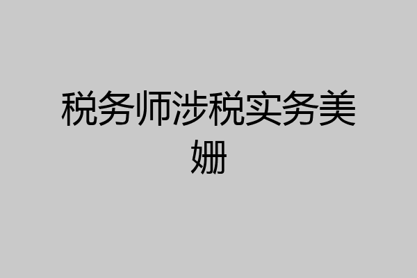 税务师涉税实务美姗
