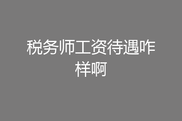 税务师工资待遇咋样啊