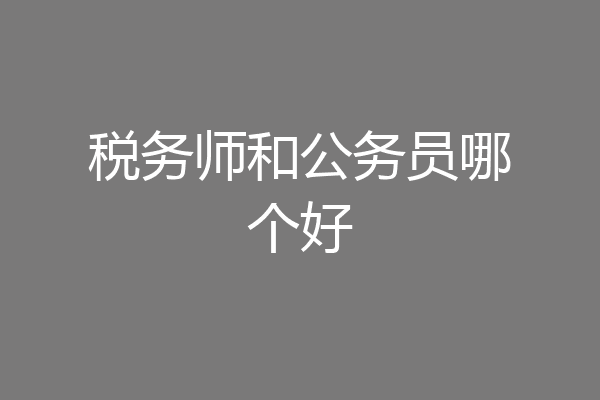 税务师和公务员哪个好