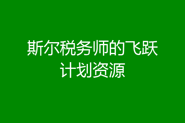 斯尔税务师的飞跃计划资源