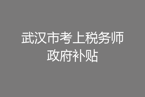 武汉市考上税务师政府补贴