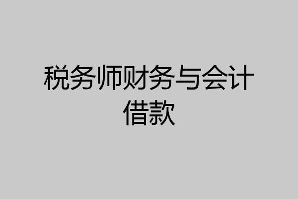 税务师财务与会计借款