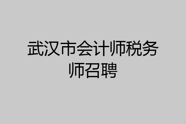 武汉市会计师税务师召聘