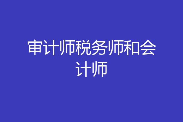 审计师税务师和会计师