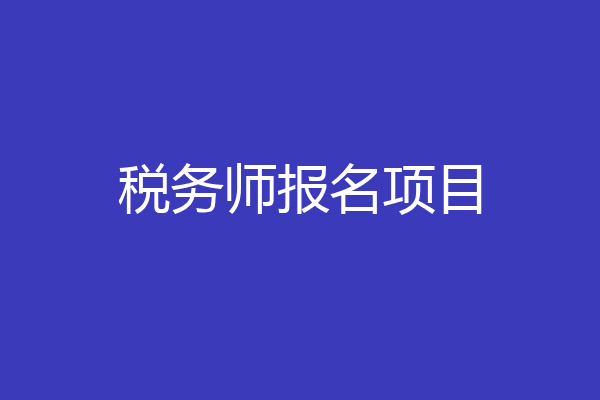 税务师报名项目