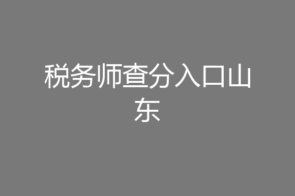 税务师查分入口山东