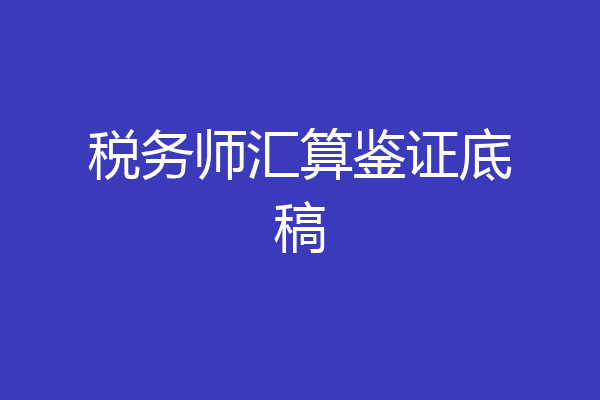 税务师汇算鉴证底稿