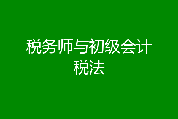税务师与初级会计税法