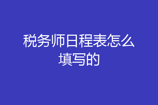 税务师日程表怎么填写的