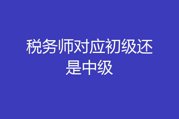 税务师对应初级还是中级
