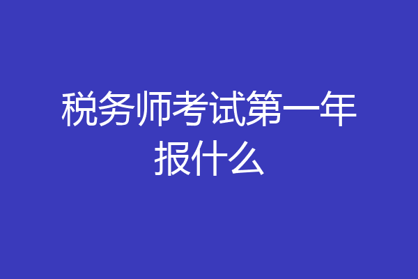 税务师考试第一年报什么