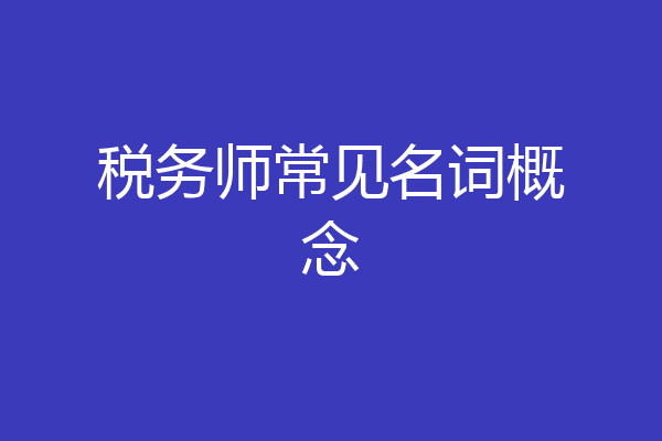 税务师常见名词概念