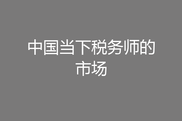 中国当下税务师的市场