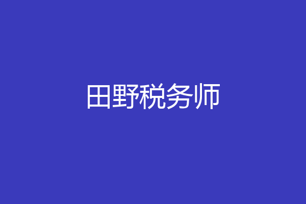 田野税务师