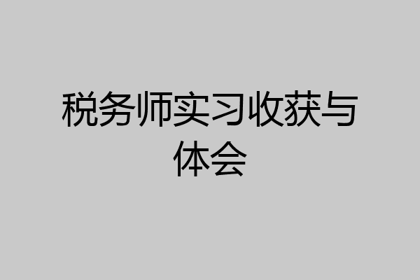 税务师实习收获与体会