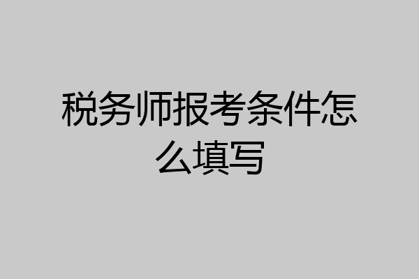 税务师报考条件怎么填写