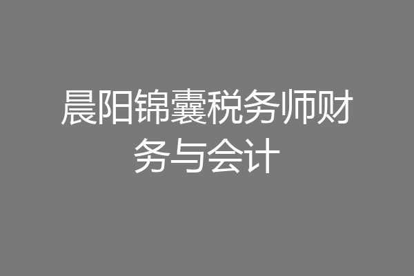 晨阳锦囊税务师财务与会计