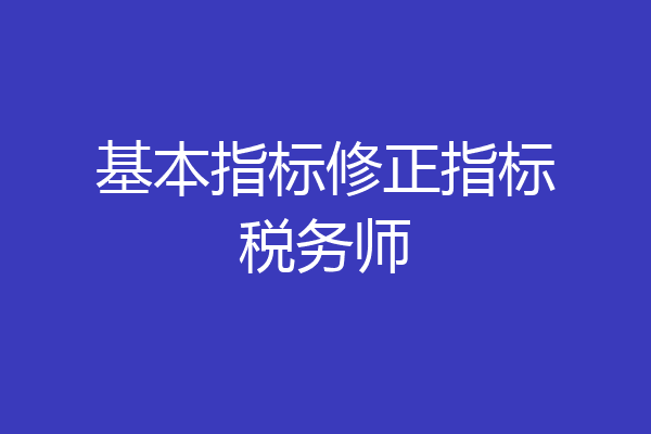 基本指标修正指标税务师