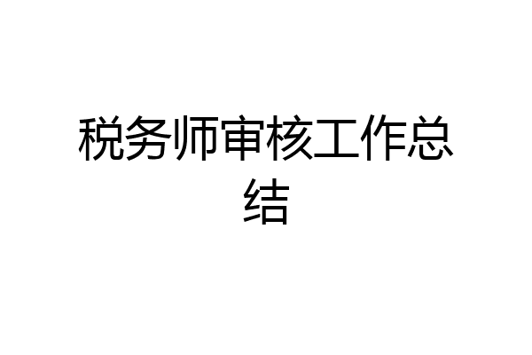 税务师审核工作总结