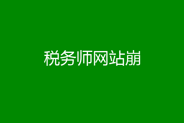 税务师网站崩