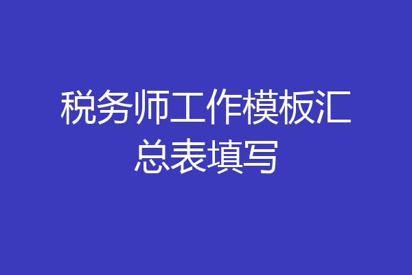 税务师工作模板汇总表填写