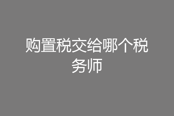 购置税交给哪个税务师